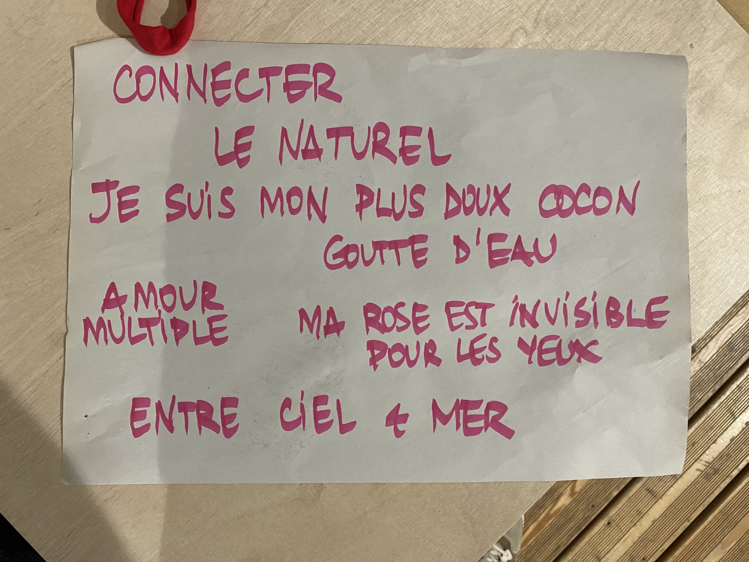 VLM-Archipel_rose-10